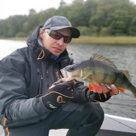 Near Baltic Coast, Cleaning Included